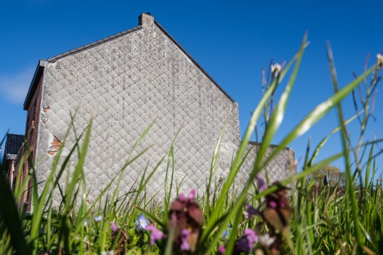 Zijgevel van een oud huis met beschadigde stenen, gezien door gras en bloemen onder een blauwe lucht. (vergroot foto)