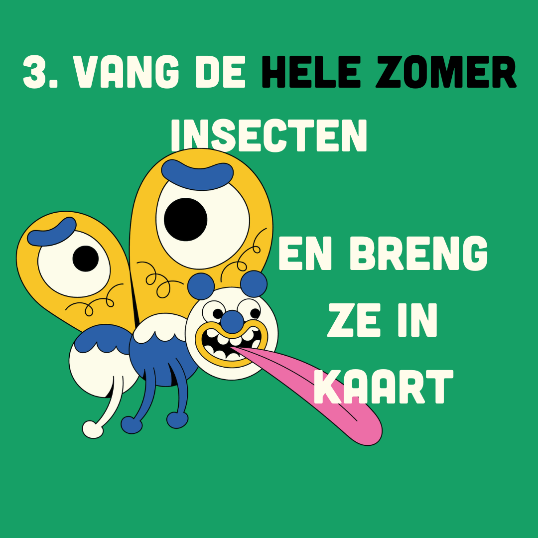 vang insecten