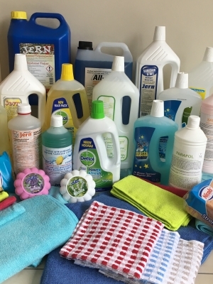 House-care service